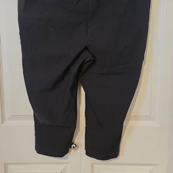 The Iconic Capri Pants from Reitmans, Size 22 - Picture 2 of 6